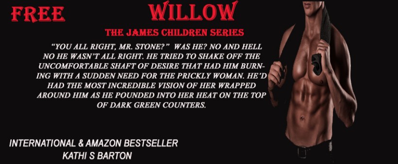 Willow Teaser 2